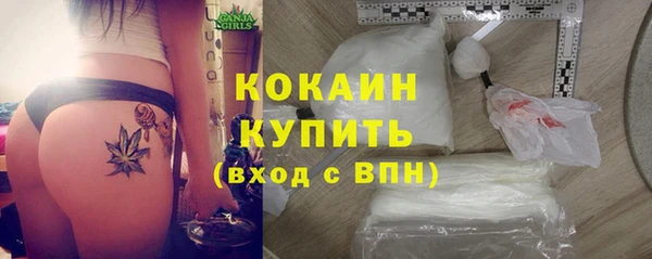 крисы Медвежьегорск