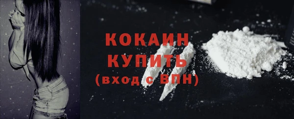 крисы Медвежьегорск