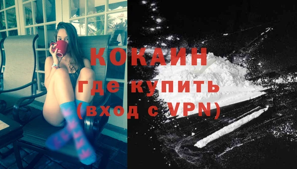 стаф Заполярный