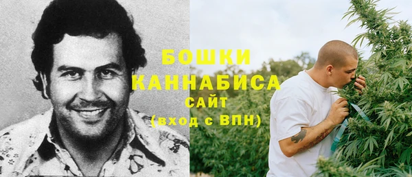 герыч Мегион