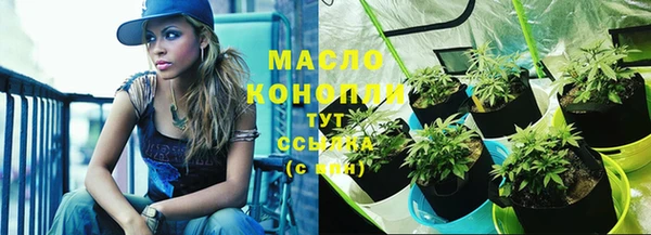 крисы Медвежьегорск